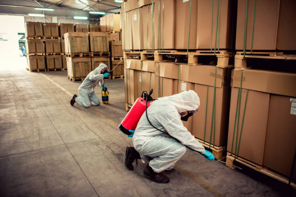Reliable Edwards Af, CA Pest Control Solutions