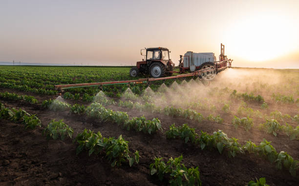 Best Pest Prevention Services  in Edwards Af, CA