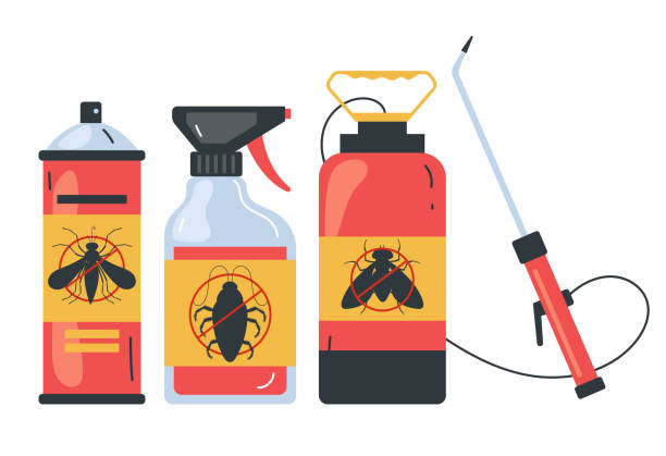 Best Local Pest Control Services  in Edwards Af, CA