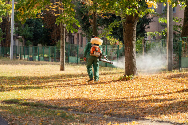 Best Pest Removal Services  in Edwards Af, CA