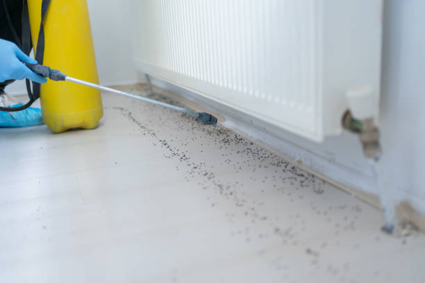 Best Best Pest Control Companies  in Edwards Af, CA