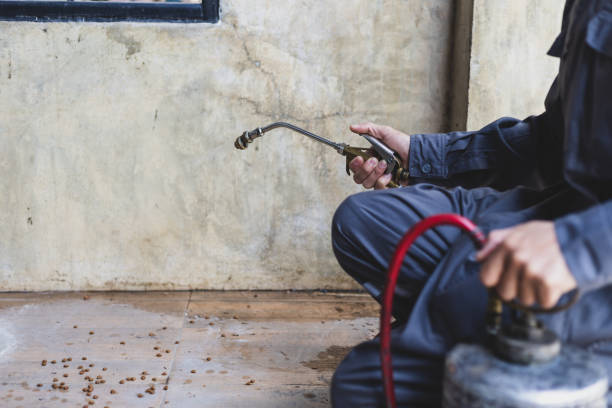 Best Best Pest Control Companies  in Edwards Af, CA